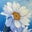 Daisy Carothers's profile image