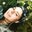 Gabriella Morrison's profile image