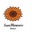 Sunflowers Florist's profile image