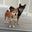 Kudo & Newt's profile image