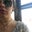 Katherine Stoecklein's profile image