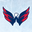 Washington Capitals's profile image