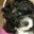 Dee S.'s profile image