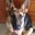 Karen Francis's profile image