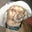 Candy C's profile image