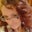 Nicole Scholtes's profile image