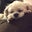 Donna Fagan's profile image