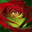 Mindy Maxwell's profile image