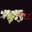 House Of Flowers's profile image