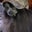 Lori Holst's profile image