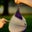 Casey Patterson's profile image
