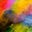 Hayden Spires's profile image