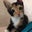 Holly H.'s profile image