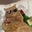 제일바쁜 여섯시반에's profile image