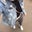 Tiffany Z's profile image