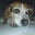 Anne Korth's profile image