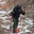 Kevin Edwards's profile image