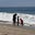 T🌊🏖️