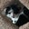 ᴡ Goncalves's profile image