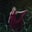Faith Shaw's profile image