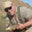 Gregory Wade's profile image