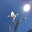 JAZMIN P's profile image