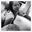 Chance Koloff's profile image