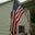 Nurseman11's profile image