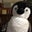 Chien Ni's profile image