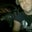 Michael S.