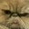 paula kendall's profile image