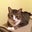 Lois Proff's profile image