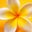 Mayumi K's profile image