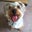 Tabitha's profile image