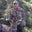 Travis Ascher's profile image