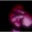 Thomas A.K.'s profile image