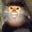 Chuck Kasek's profile image