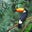 Jean Robart's profile image