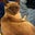 Lisa Gordon's profile image
