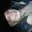 Becca Alloway's profile image