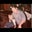 Amanda Pardee's profile image