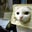 Jeff Webb's profile image