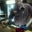 Bob Shumate's profile image