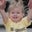 Rebecca Eller-Jones's profile image