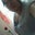 Jessica Brown's profile image