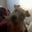 Paul Dunn's profile image