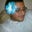 Hector Rosado's profile image
