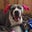 Cherie S's profile image