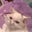 Julie W's profile image