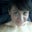 Mary Heang's profile image
